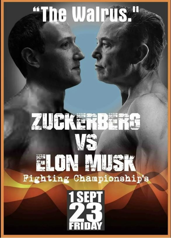 인스타그램 등 소셜미디어에서 유행하고 있는 일론 머스크 테슬라 CEO와 마크 저커버그 메타 CEO의 철장 격투시합을 예고하는 '가짜 포스터' 밈. 사진 출처=트위터  