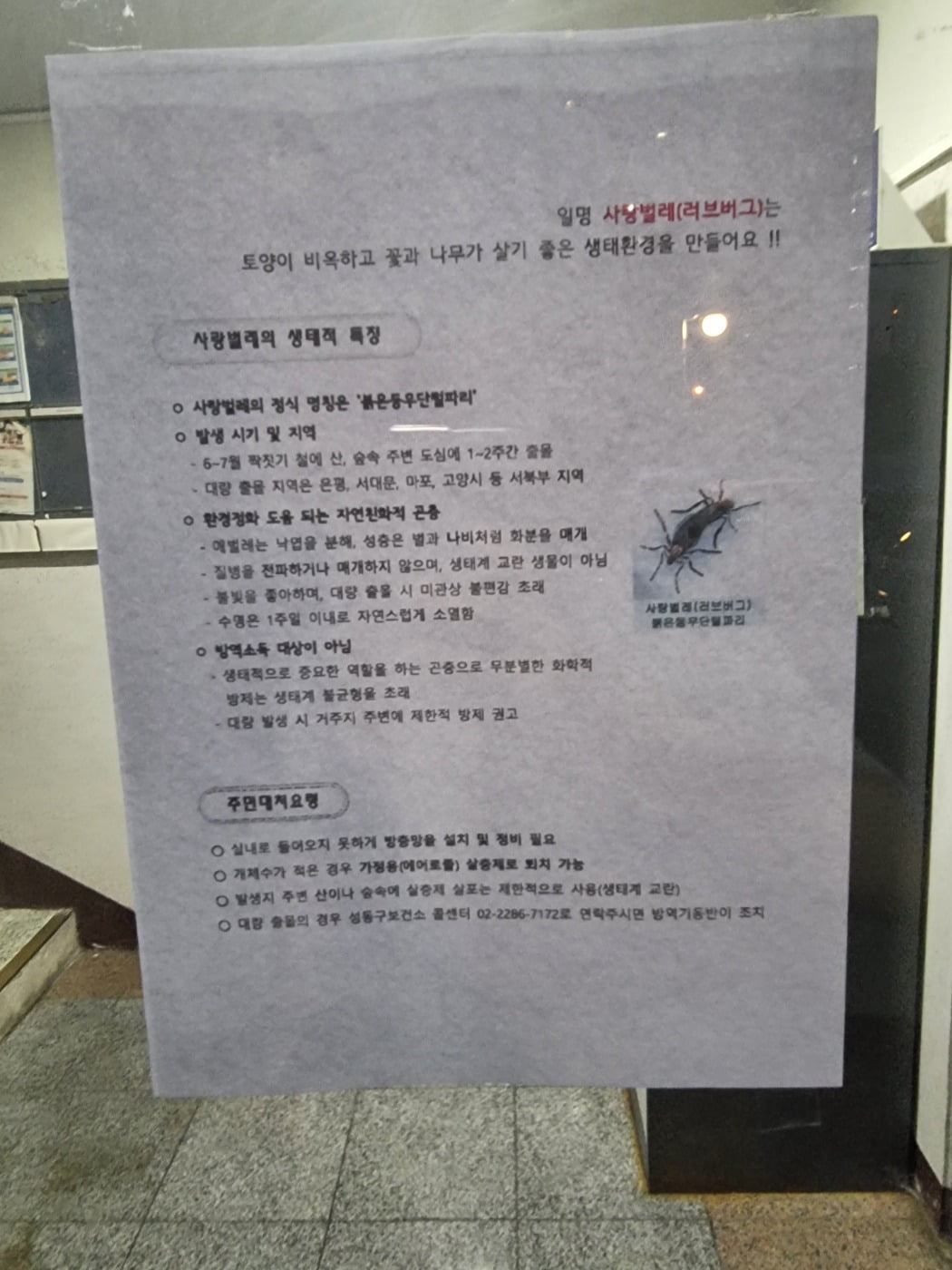 서울의 한 아파트 단지에 붙어있는 러브버그에 대한 안내문.  