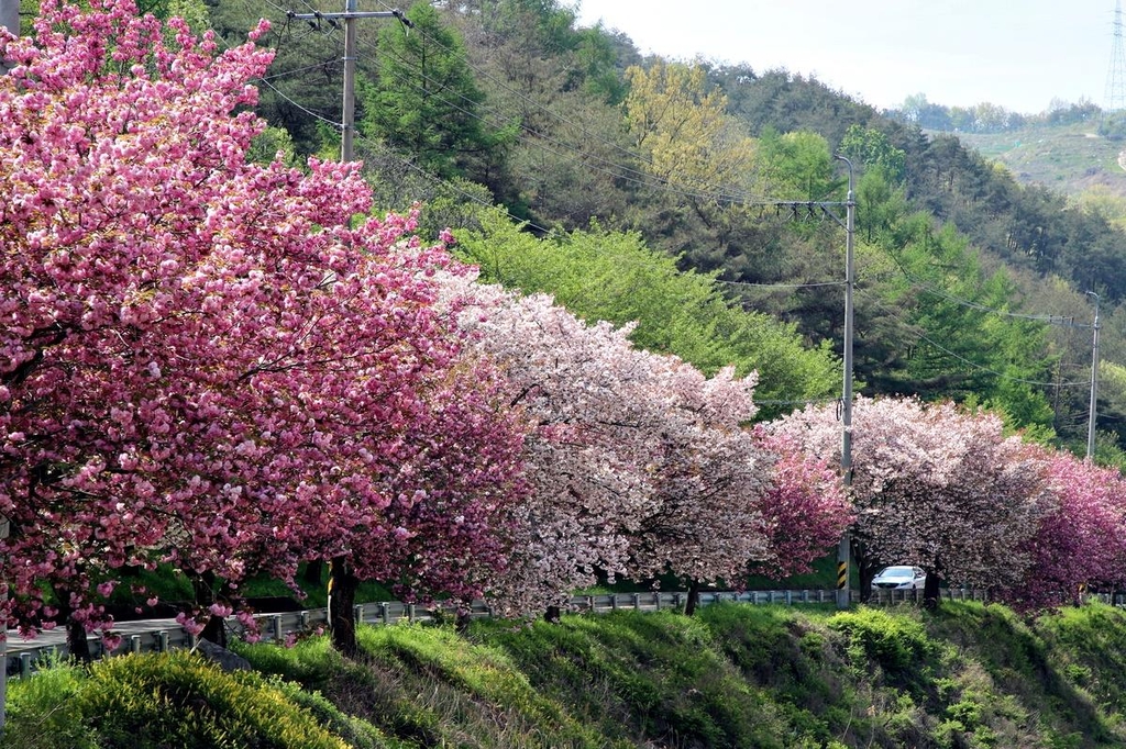 [경남소식] '푸른경남상' 공모…녹지공간 조성·관리·자율참여 부문