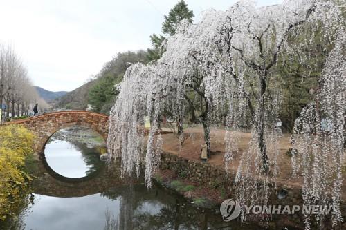 창녕 관광지 찾아 '모바일 스탬프' 쌓으면 선물