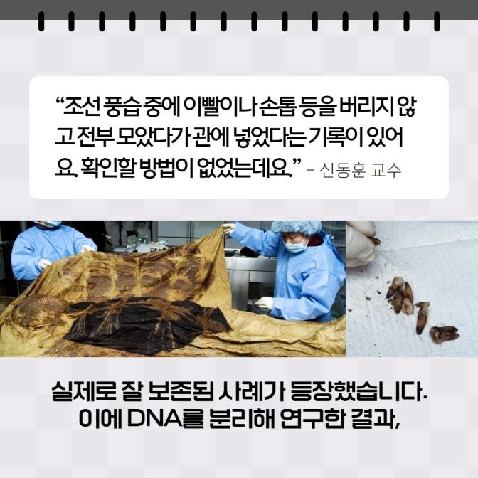 [카드뉴스] 오페르트 도굴 사건, 삽질만 하다 실패에 그친 이유