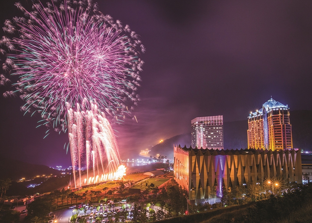 꽃·바람·별 가득 하이원리조트서 샤스타데이지 축제