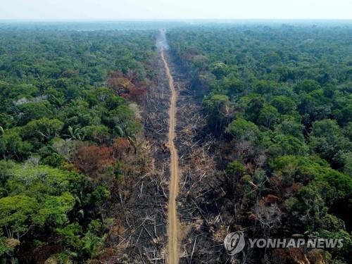 룰라의 다짐…"'지구의 허파' 아마존 불법벌채 7년내 근절"