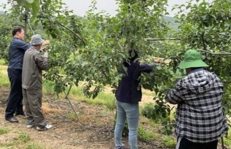 충북 보은서 농사 돕던 베트남 계절근로자 6명 무단이탈