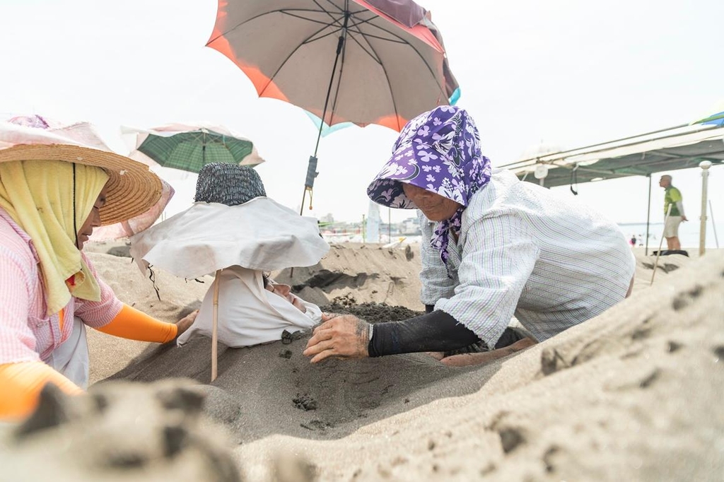 한여름 낮과 밤 언제나 즐기기 좋은 제주 삼양동으로 '풍덩'