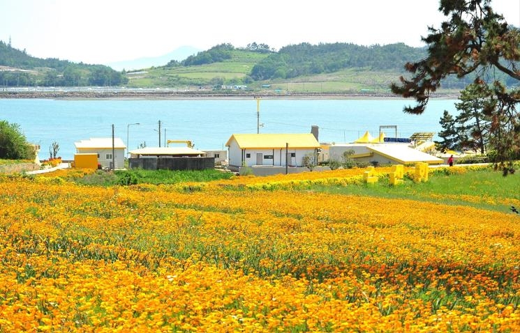 인구소멸 '위기의 작은 섬들'…신안군의 선택은