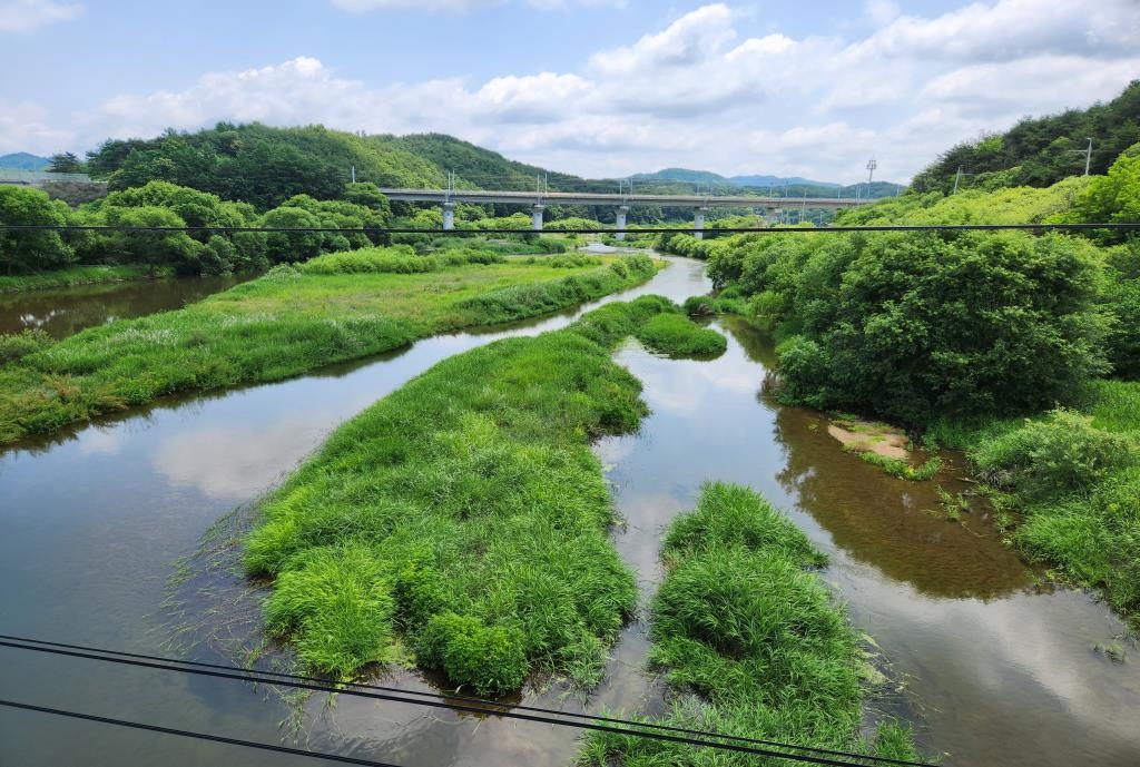 환경부 "영주 무섬마을 수색 결과 악어 서식 흔적 없어"