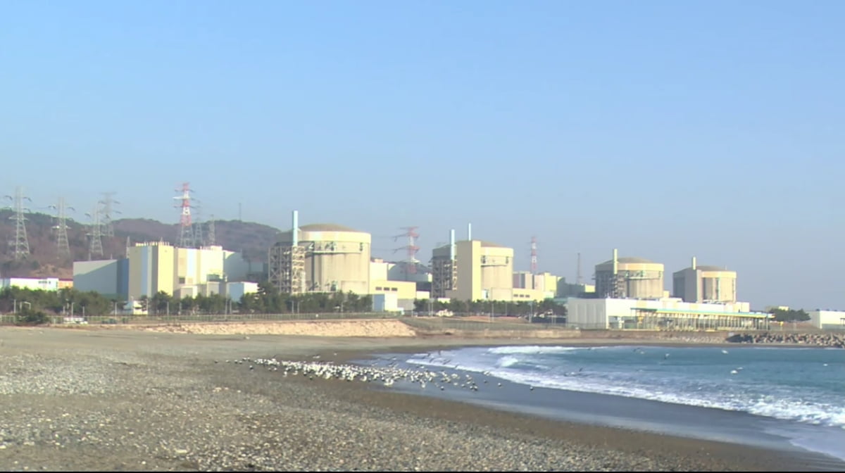 "후쿠시마 수산물 수입, 日 선의 의존 안해"…"WTO 제소 철회 확인중"