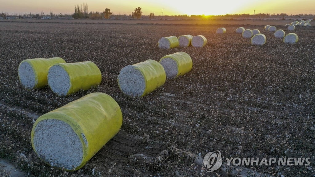 "신장산 면화 안 써"…중국판 유니클로 '선긋기'