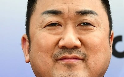 '범죄도시' 시리즈 대박친 마동석, 한국은 좁다…할리우드 가는 '제작자'[TEN피플]