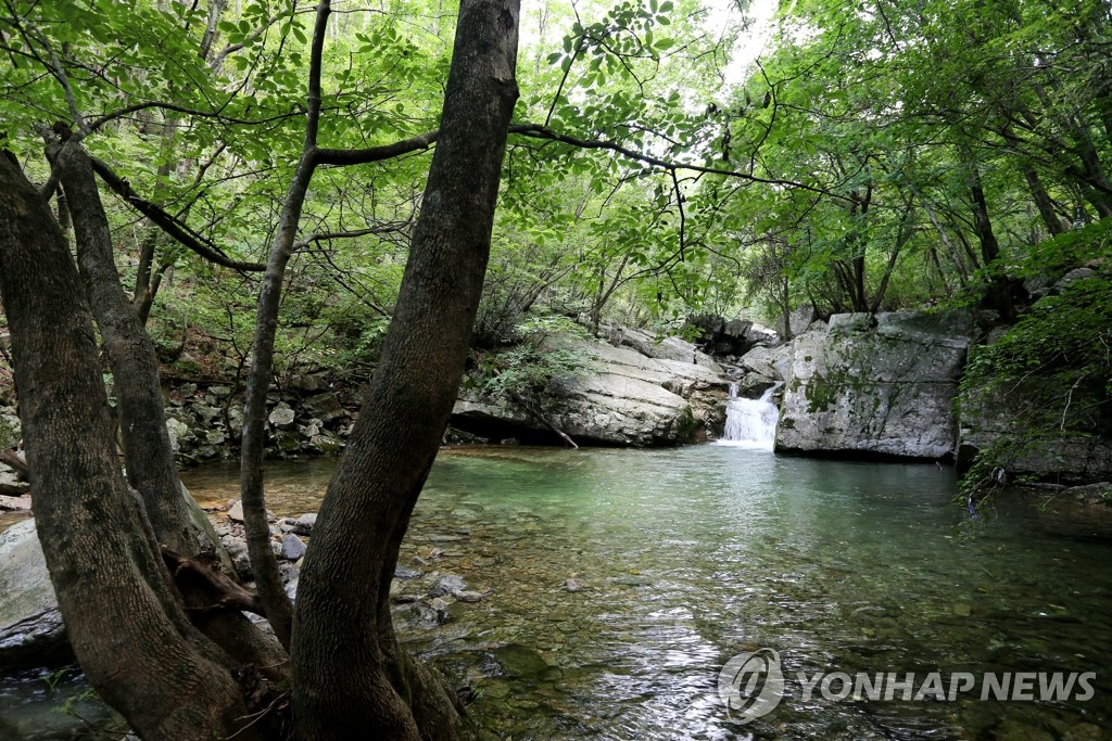 서산 한 계곡서 물놀이하던 7세 여아 물에 빠져 숨져