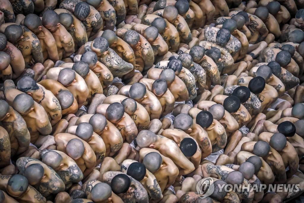 엘살바도르 대통령 "화이트칼라 범죄 전용 교도소 만들 것"