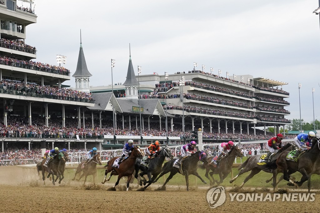 美 유명 경마장서 5주간 말 12마리 죽음…당국, 조사 착수