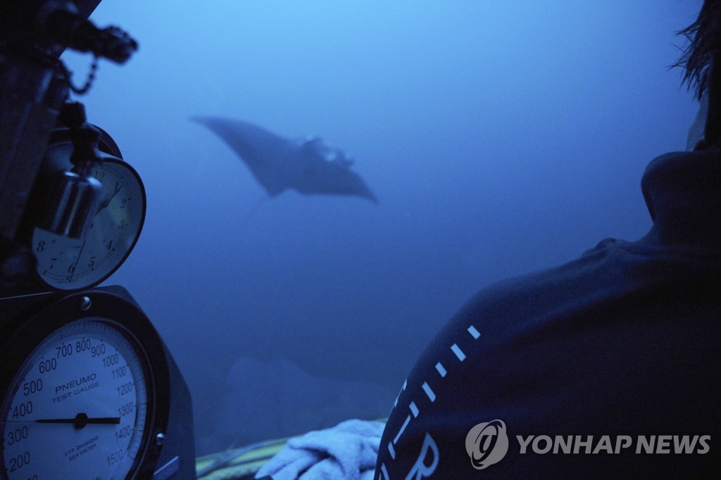 '바다의 3분의2' 보전 위한 국제협정 첫 채택…"역사적 성취"