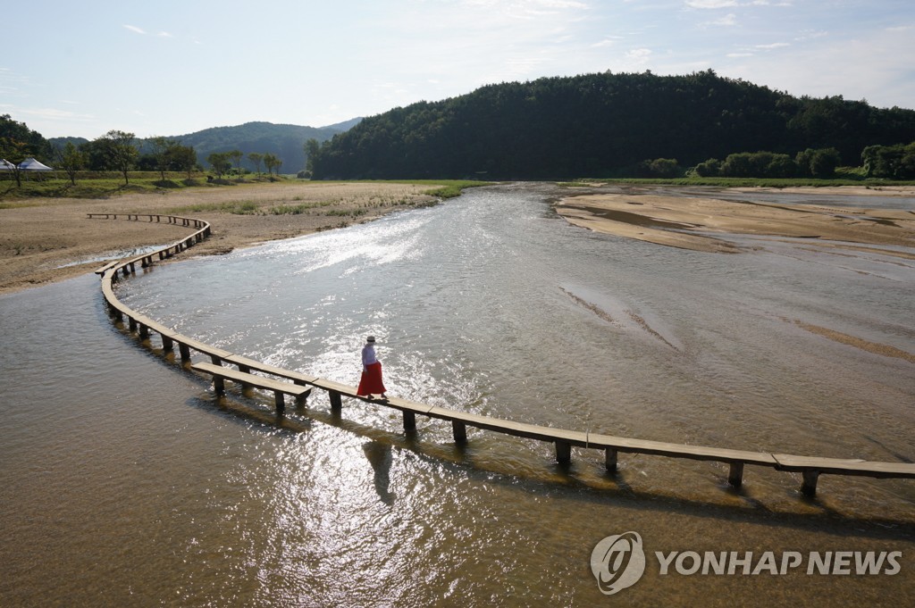 '못 찾겠다 꾀꼬리'…영주 무섬마을서 8일째 악어 수색