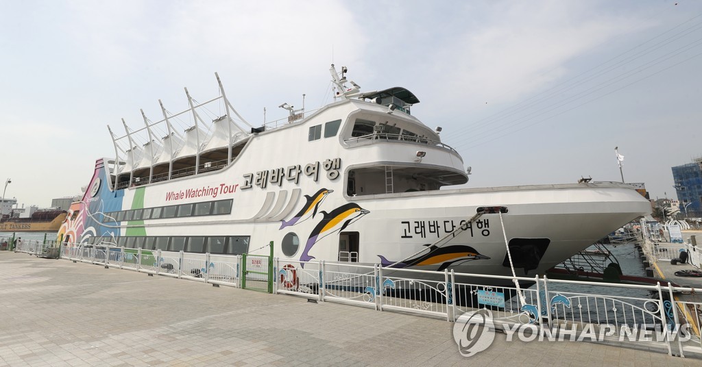 울산 고래바다여행선, 승선객은 느는데 고래 발견율은 '아쉽네'