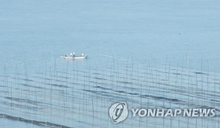 여름철 남해안의 불청객 '산소부족 물 덩어리'는 무엇?