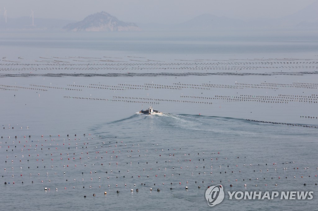 여름철 남해안의 불청객 '산소부족 물 덩어리'는 무엇?