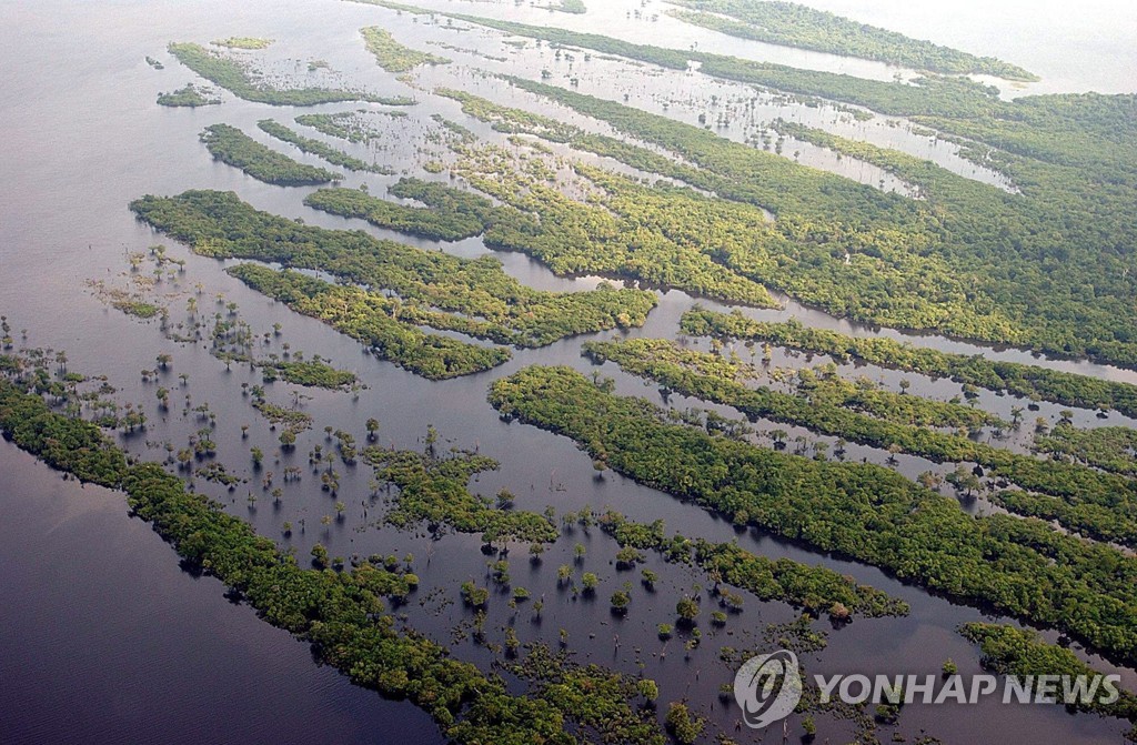 "아마존 밀림 볼 수 있는 건 현세대가 마지막일 수도"