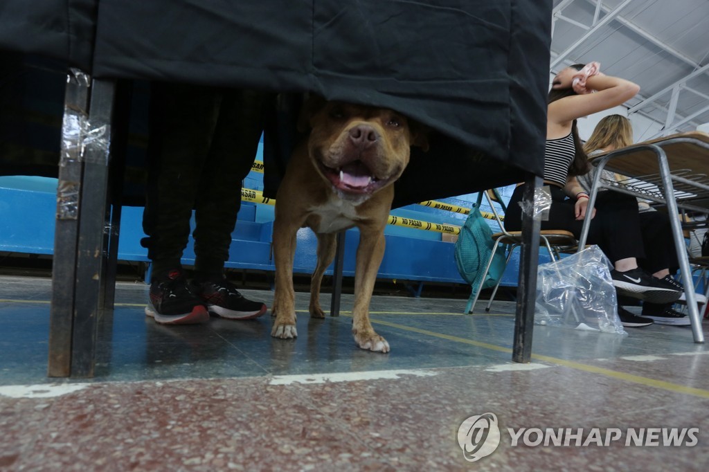 사람보다 개가 먼저?…칠레 병원서 개 방사선 치료 논란