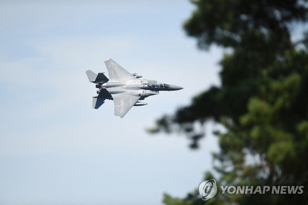 나토 내주 독일서 사상 최대 방공훈련…미전투기 등 250대 동원