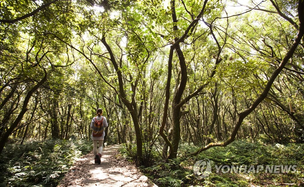 제주 면적 5.1％뿐인 '곶자왈' 보전…사유재산권과 충돌