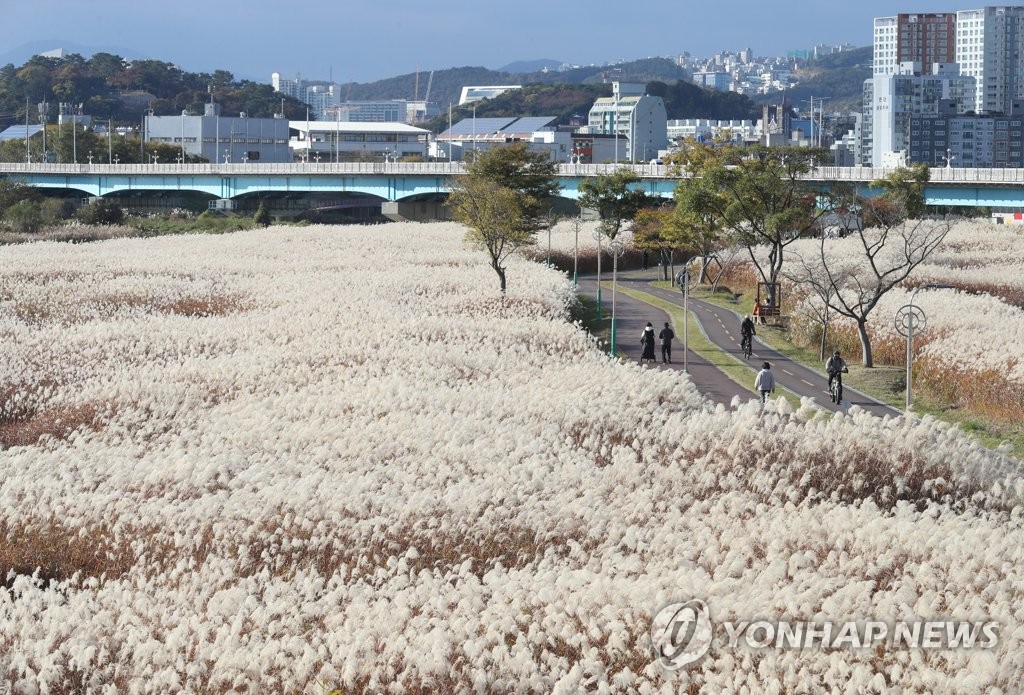 [이젠 정원도시 울산] ⑦"태화강 되살린 스토리가 정원도시 핵심 기반"(끝)