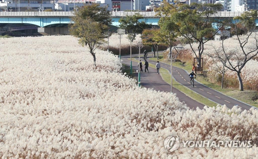 [이젠 정원도시 울산] ⑤'언제 어디서나' 생활 속에도 뿌리내린 정원