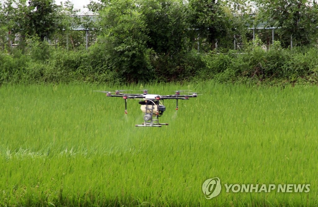 '벼 병해충 드론으로 방제한다'…울산시, 올해 2천㏊ 지원