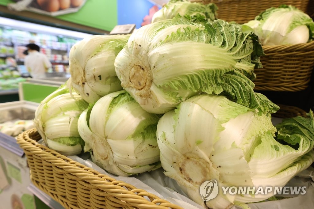 폭염에 올여름도 '金배추' 될까…농식품부 "비축량 확대"