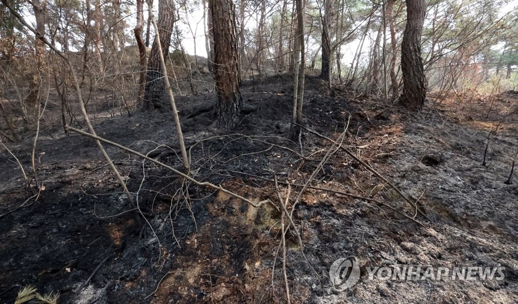 1년새 대형산불 겪은 경남 시·군들, 여름철 산사태 예방에 골몰