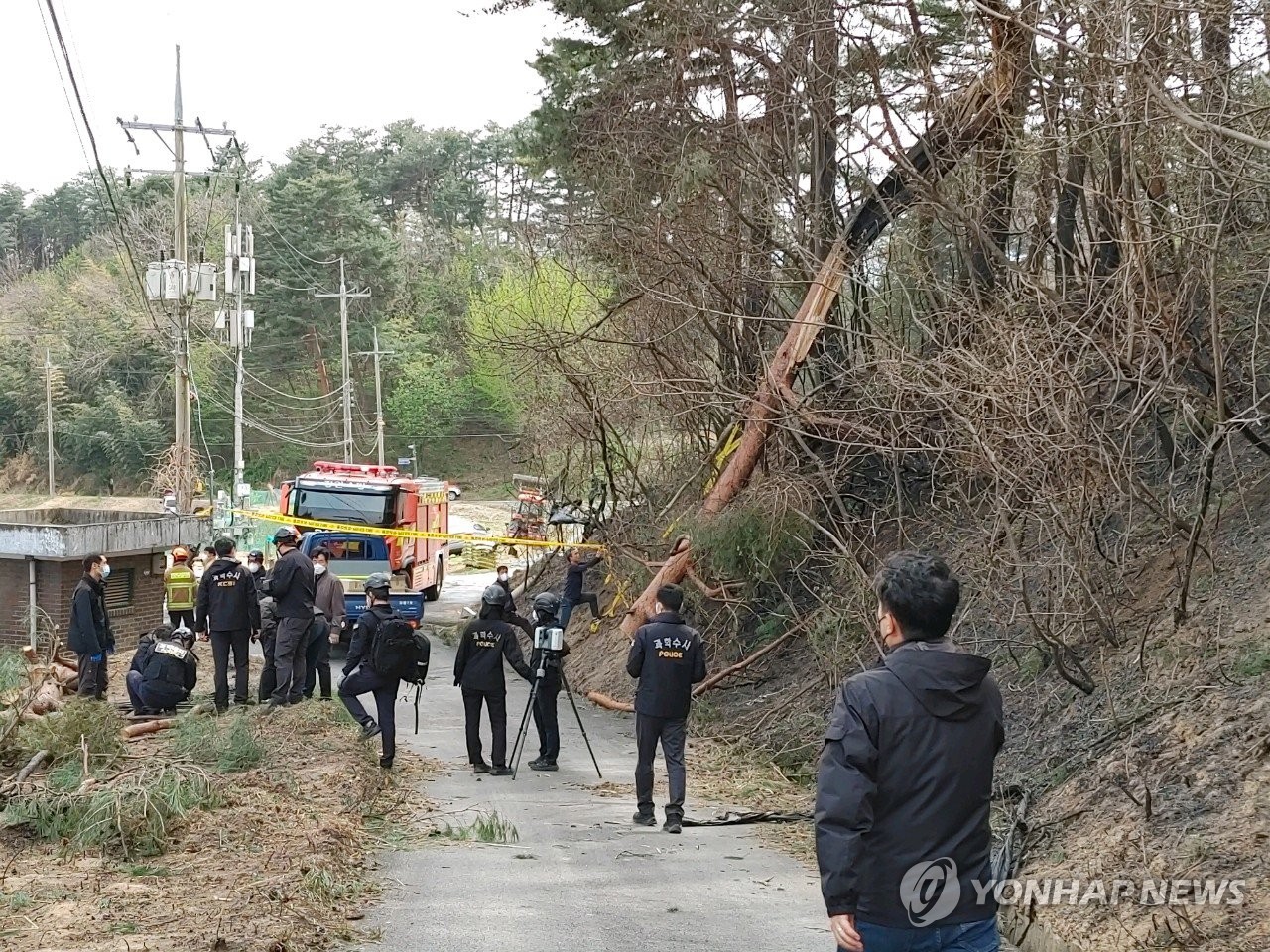 강릉산불 국과수 감정 결과 '강풍에 쓰러진 나무가 전선 단선'