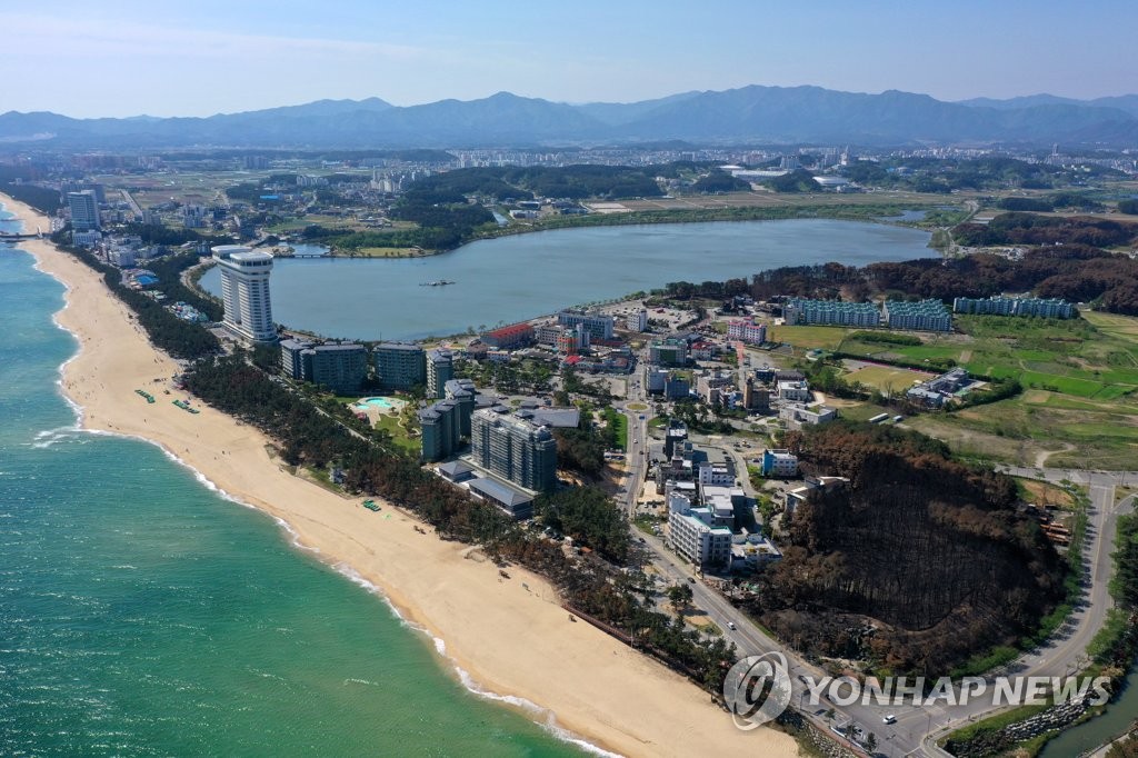 강릉시, 경포 산불 피해지 긴급 벌채…산사태·병해충 피해 예방