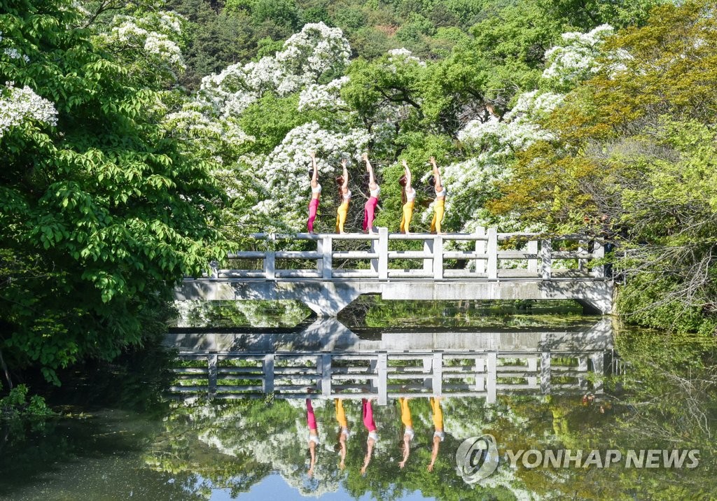 '세계 요가의 날' 밀양서 300여명 야외요가…"역시 요가도시"