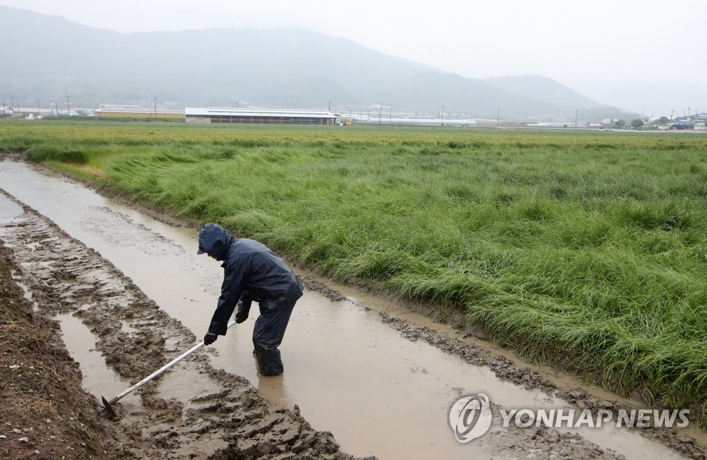 강원농업기술원, 집중호우에 따른 농작물 안전관리 농가에 당부