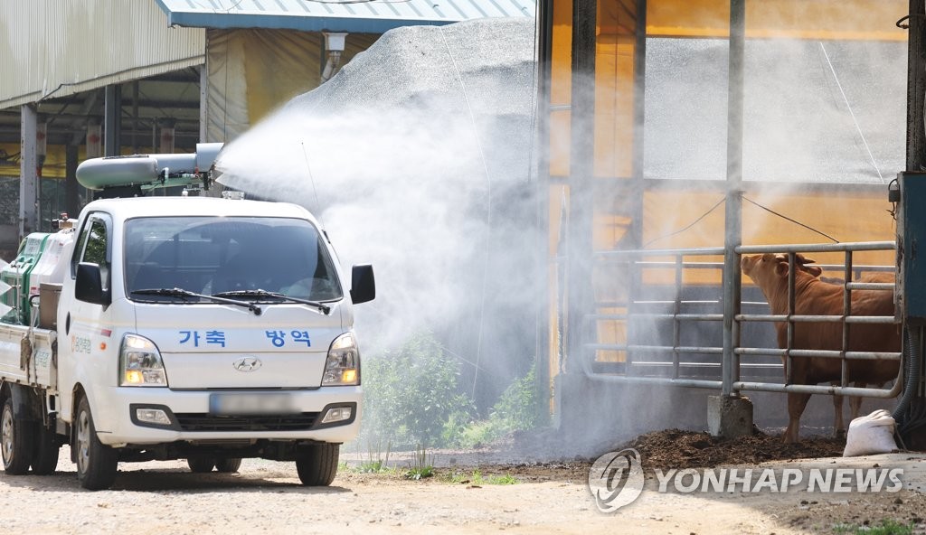 구제역 방역지역 이동제한 해제…위기경보 '관심'으로 하향