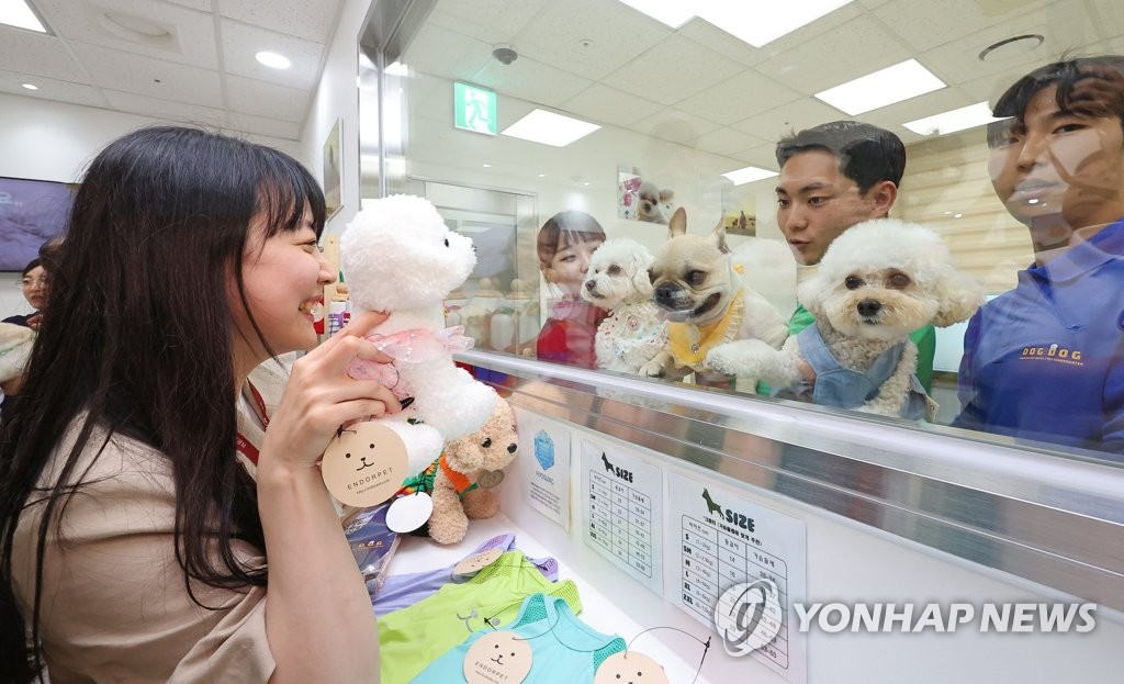 김포공항에 반려견 맡기고 여행 떠나세요