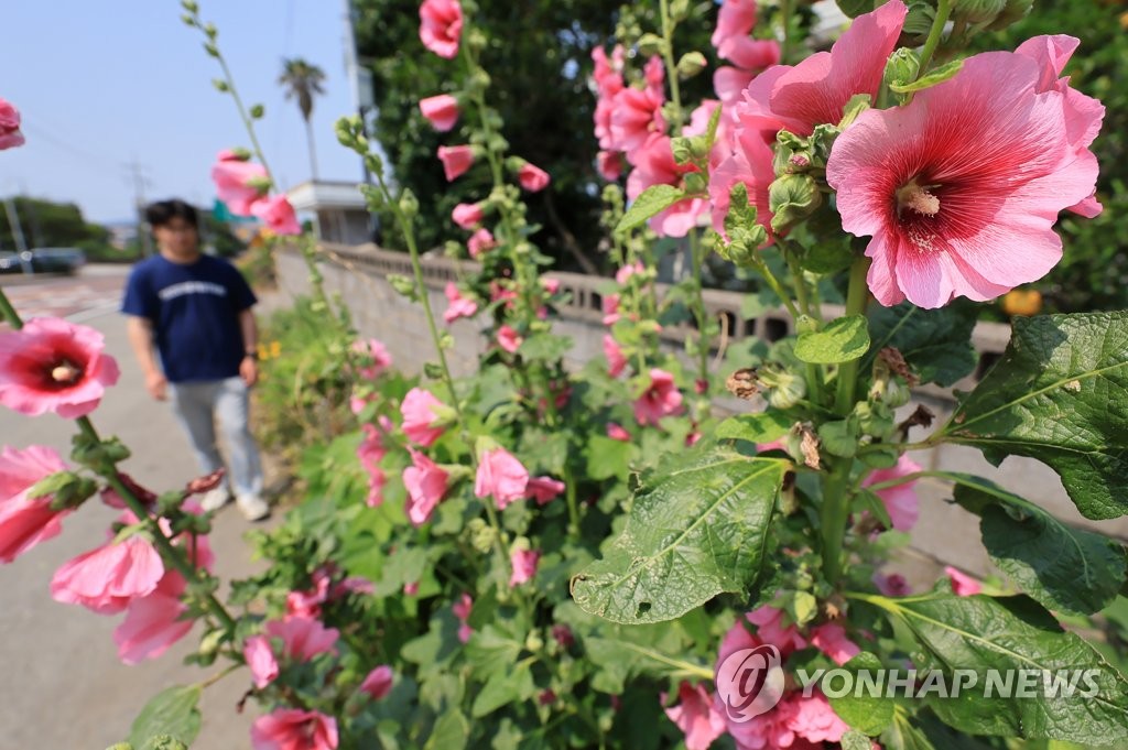 제주 맑고 낮 기온 27∼29도…미세먼지 '좋음'