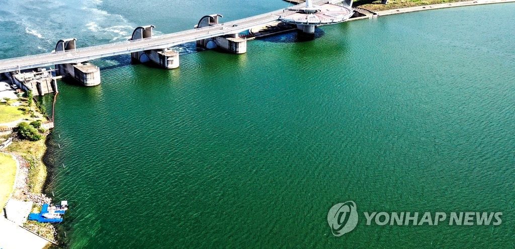 대구환경단체 "낙동강 녹조 심각"…환경청 "조류경보 관심단계"