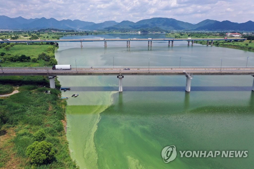 [사진톡톡] 초록 물감 풀어놓은 듯…낙동강 칠서지점 녹조