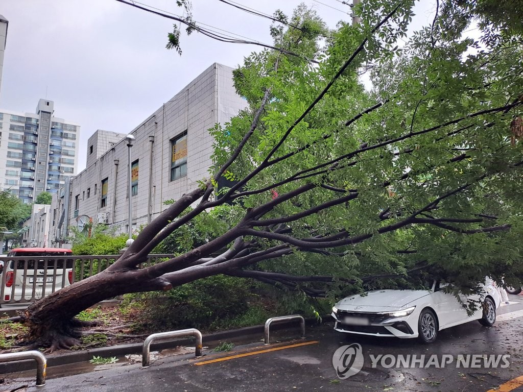 전북 내일까지 최대 250㎜ 비…14개 시·군 전역 호우주의보(종합)