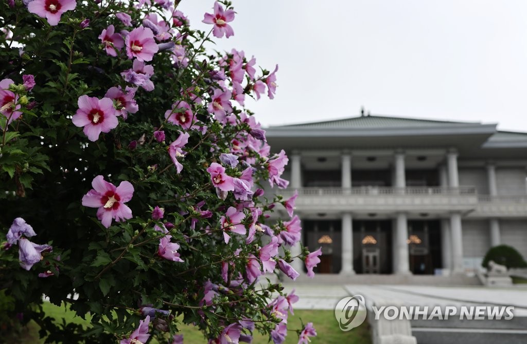 청와대 관저 앞 소나무 세그루…"노태우·노무현 대통령이 심어"