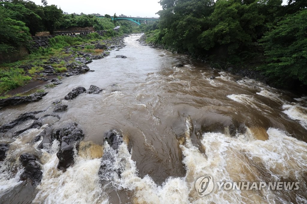 장마철 노지감귤·단호박 피해 우려…제주도 "관리 주의"