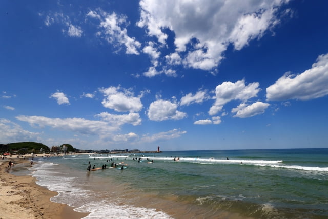 맑고 무더운 초여름 날씨를 보인 3일 강원 양양지역의 한 서핑 해변을 찾은 서퍼들이 파도타기를 즐기고 있다. / 사진=연합뉴스