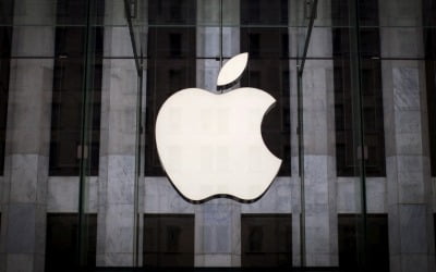 애플, 사상 최고가에도 월가 평가는 2년 반 만에 '최악'…왜?