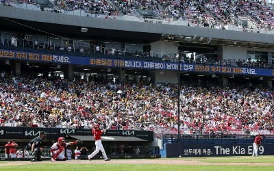 야구 응원하다 '날벼락'…파울볼 맞고 입술 터진 30대 여성 