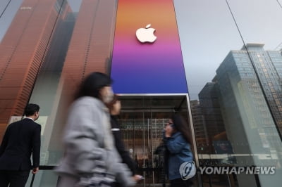 애플 "지난해 개발자 매출, 전년 대비 29％ 성장"