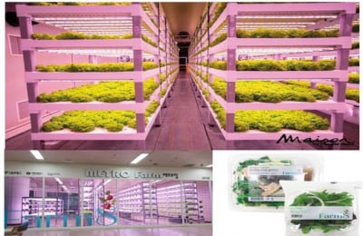 장수에 임대형 수직농장 만든다…"스마트 영농환경 조성"