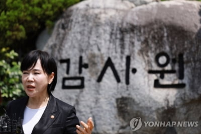감사원 "권익위원장 '불문 결정' 사실 아냐" 전현희 "명예훼손"(종합)
