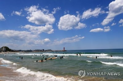 전국 화창한 초여름…산·바다·유원지 등 나들이객 '북적'